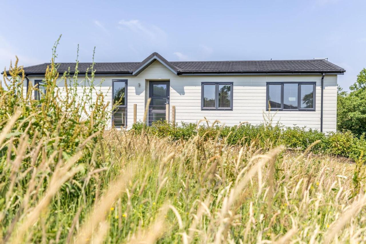 Rose Lodge, 21 Roadford Lake Lodges Lifton Bagian luar foto